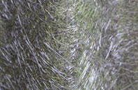 Acharacle fibreglass roof work